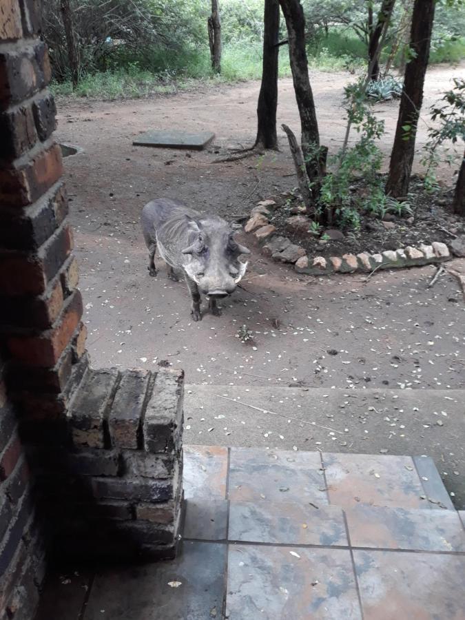 African Sky Marloth Park Bagian luar foto