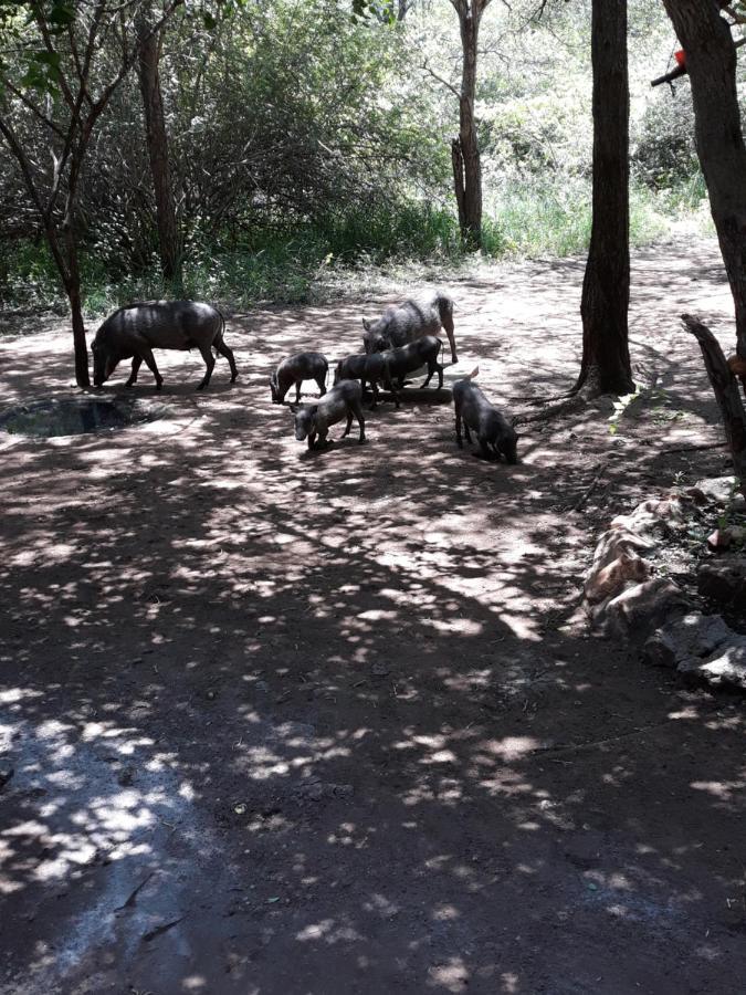 African Sky Marloth Park Bagian luar foto