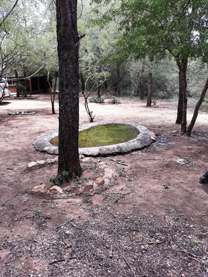 African Sky Marloth Park Bagian luar foto
