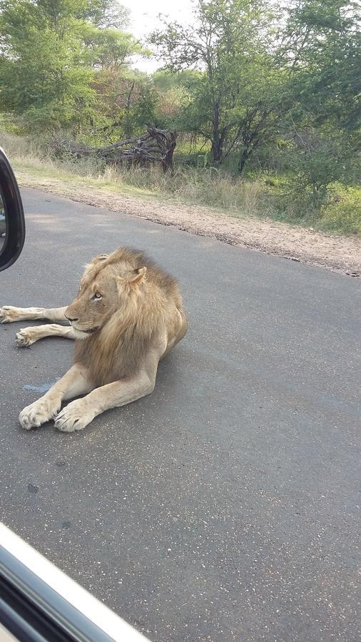 African Sky Marloth Park Bagian luar foto