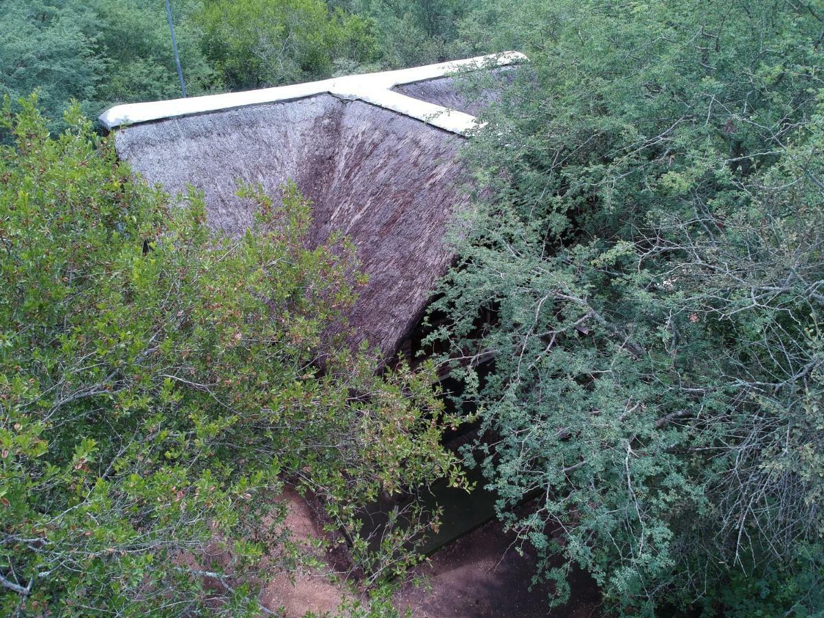 African Sky Marloth Park Bagian luar foto
